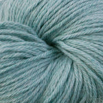 5172 Calico