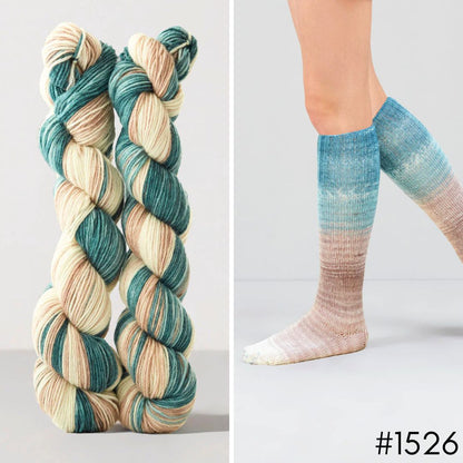 Gusto Echoes - Self-Striping Yarn