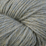 6199 Sage