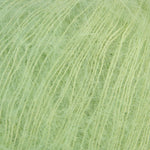 14 Celery