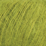 16 Lichen