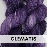 Clematis, McIntosh