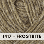 1417 Frostbite