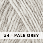 54 Pale Gray