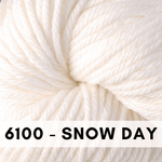 x6100 Snow Day
