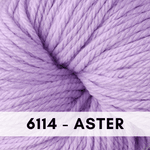 x6114 Aster