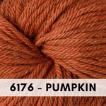 x6176 Pumpkin