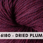 x6180 Dried Plum