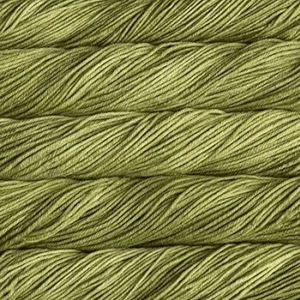 Malabrigo Rios: Close-up of a skein of Malabrigo Rios yarn showing the texture and color variations.